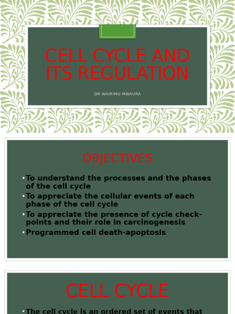 Cell Cycle and Its Regulation | PDF | Mitosis | Cell Cycle