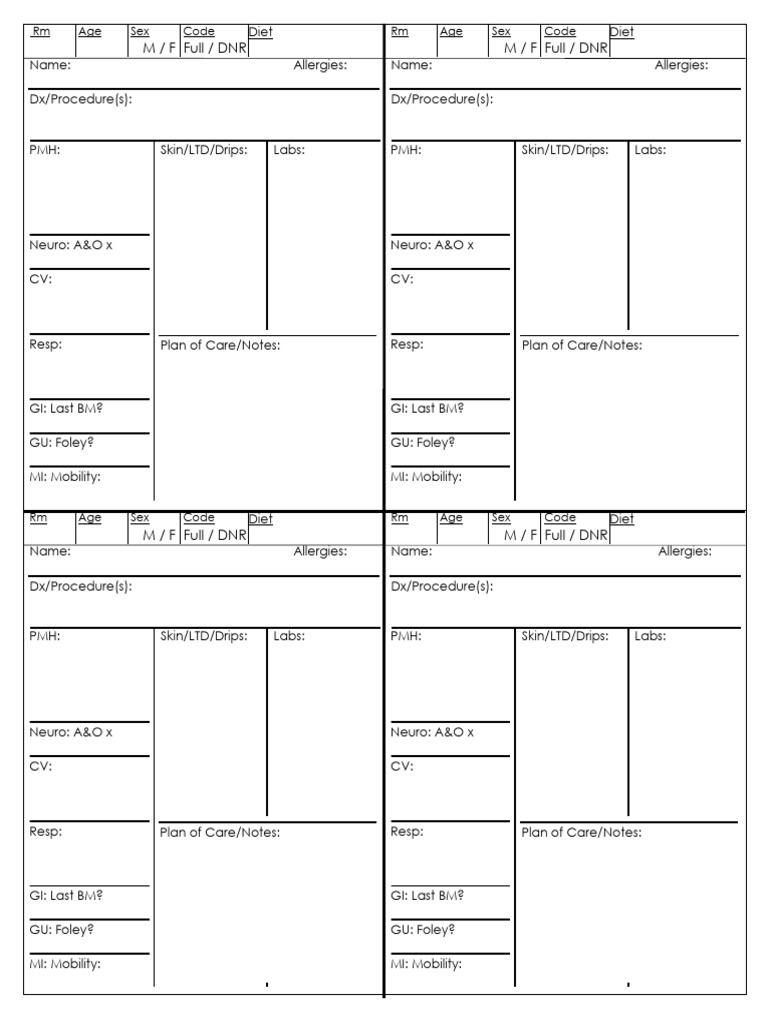 Brain Sheet 4 | PDF