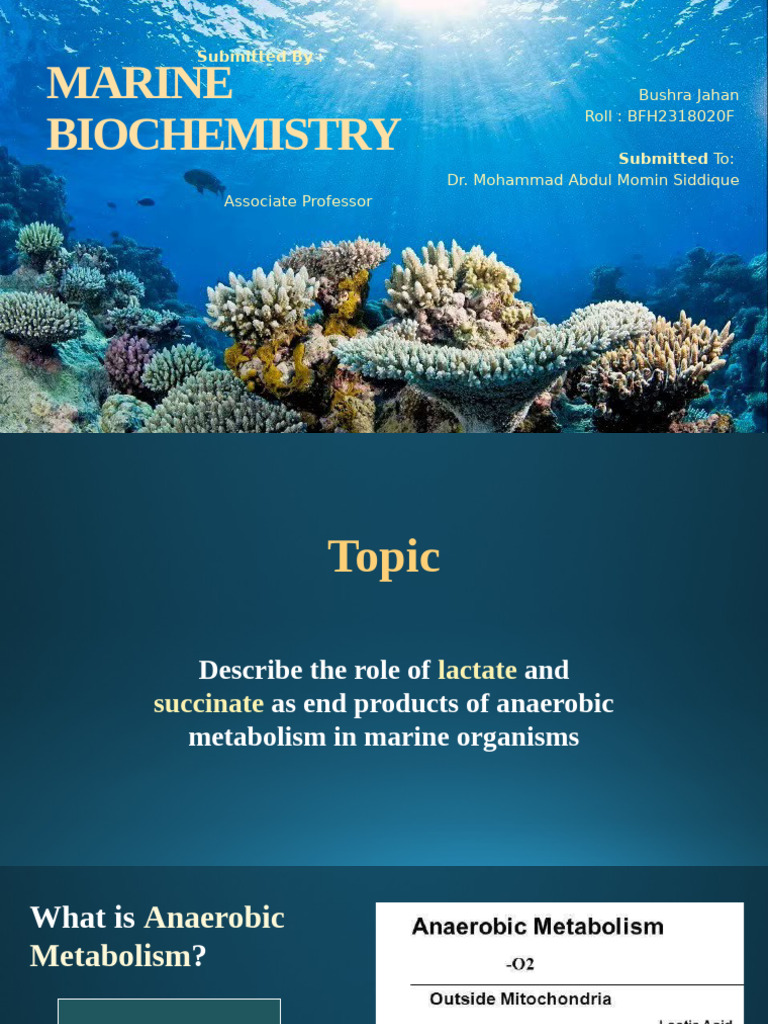 Marine Biochemistry | PDF