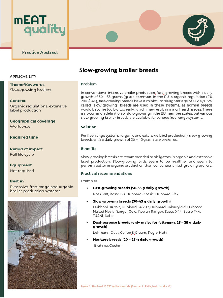 Slow-Growing Broiler Breeds Guide | PDF | Broiler | Livestock