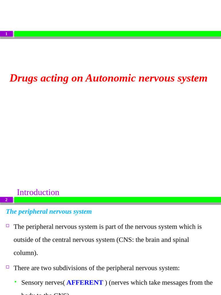 Autonomic Nervous System Drugs Overview | PDF | Acetylcholine ...