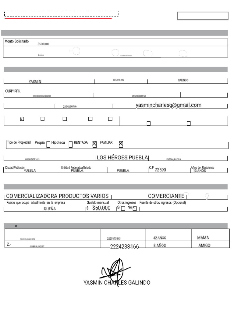 Solicitud de Crédito para Comercio | PDF