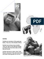 280180 Gorillas Texto Para Trabajar La Comprension Lectora en Ingles