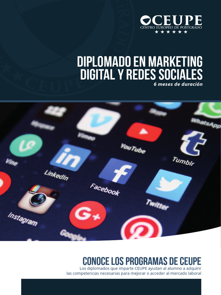 Curso Experto Marketing Digital y Redes Sociales | PDF | Universidad ...