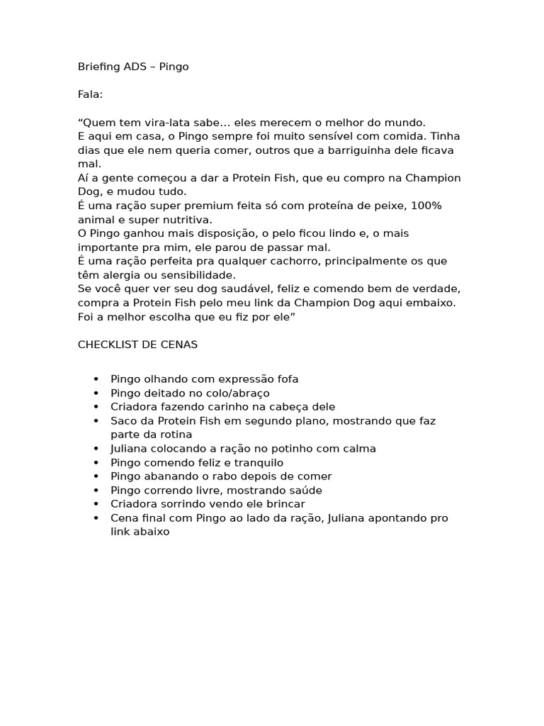 Briefing - Pingo | PDF
