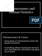 Chromosomes & Human Genetics