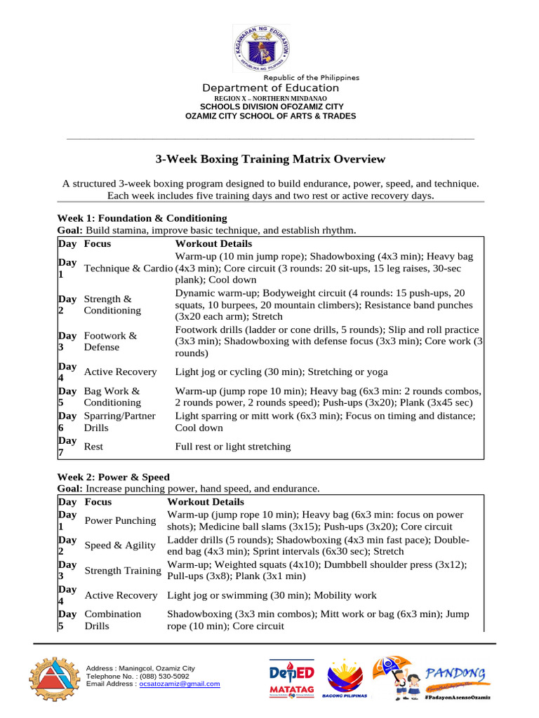 3-Week Boxing Training Program Guide | PDF | Strength Training ...