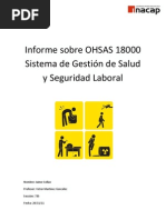 Download Informe sobre OSHAS 18000 Sistema de Gestin de Salud y Seguridad Laboraldocx by Ferdinand Binder SN95871373 doc pdf