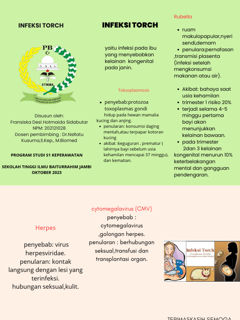 Infeksi TORCH dan Dampaknya pada Janin | PDF