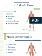 10 Muscle Tissue