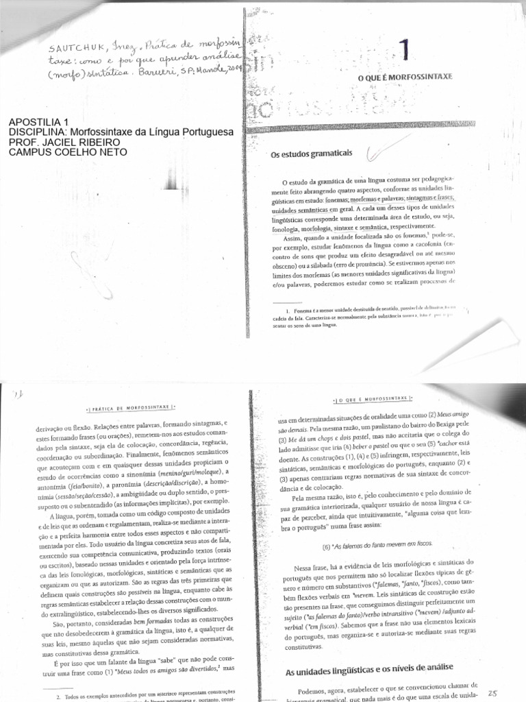 Introdução à Morfologia da Língua Portuguesa | PDF | Palavra | Linguística