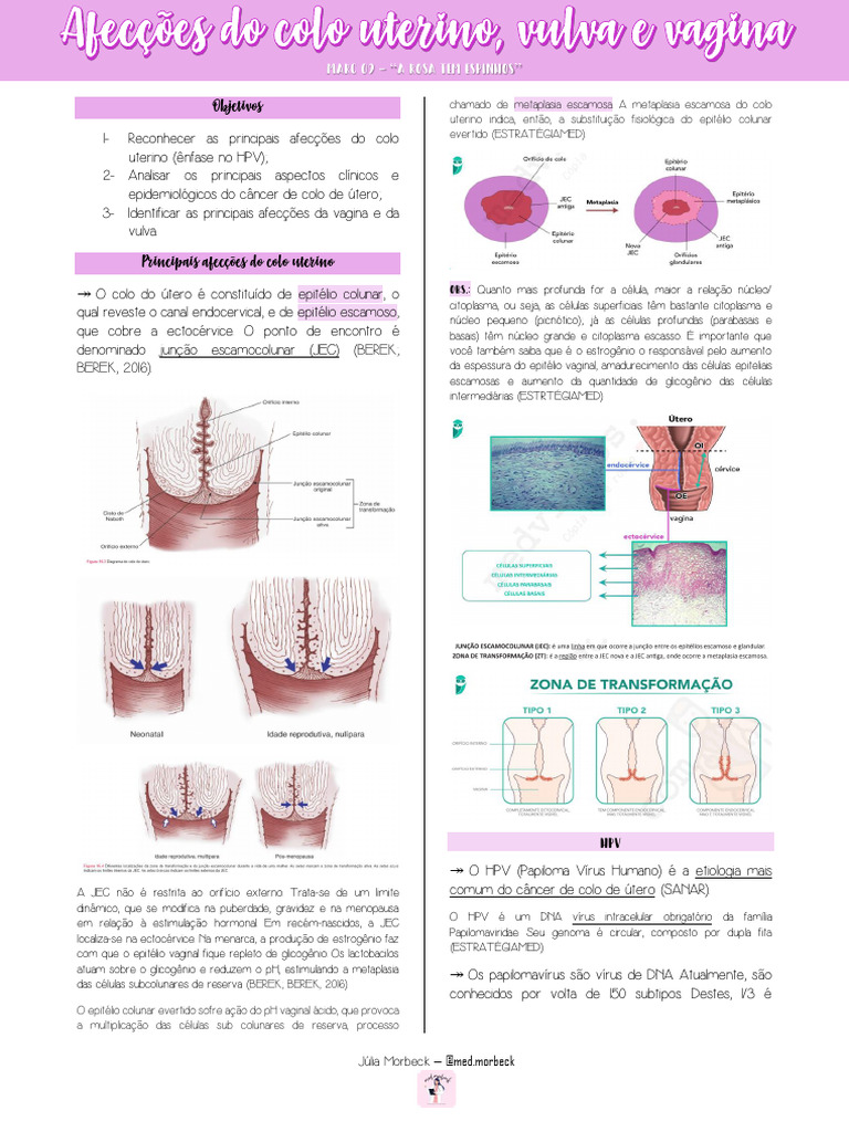 Afecções do Colo Uterino e HPV | PDF | Vagina | Câncer cervical