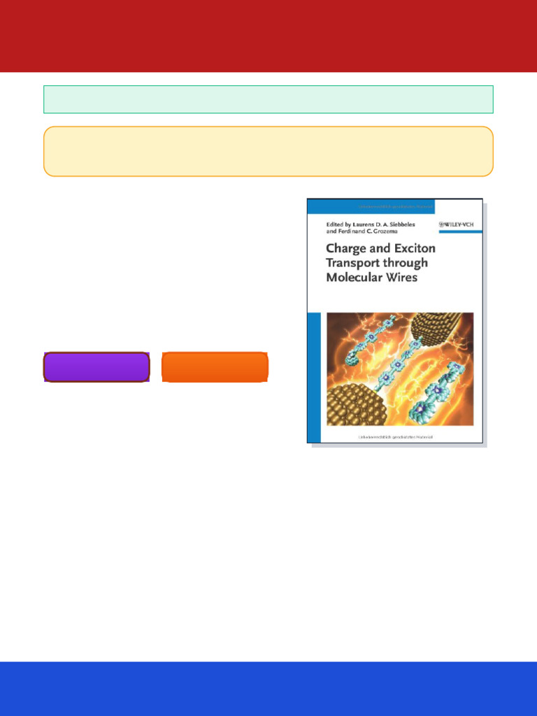 Charge and Exciton Transport Through Molecular Wires 1st Edition ...