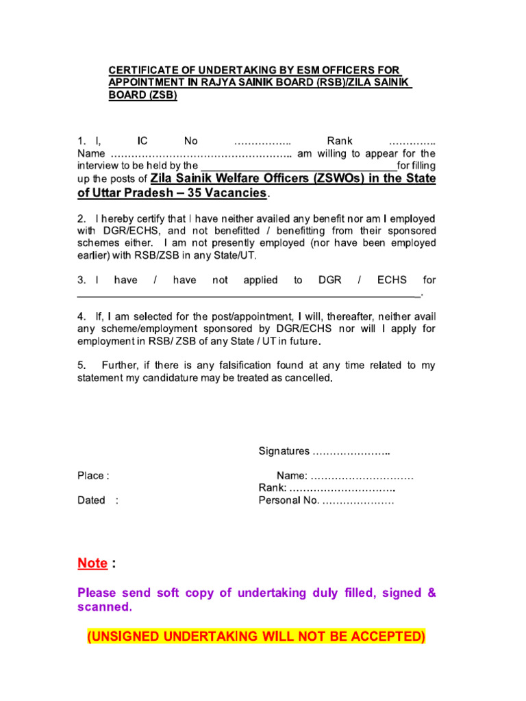Undertaking | PDF