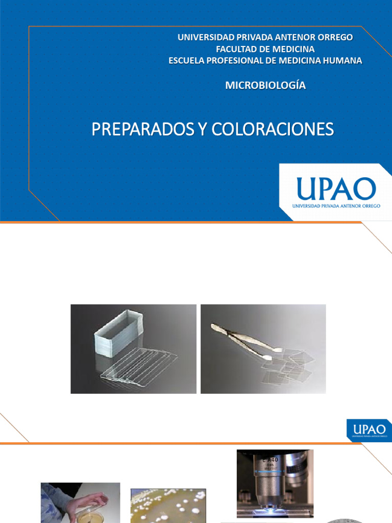 S2 - Laboratorio: Preparados y Coloraciones | PDF | Tinción | Biología