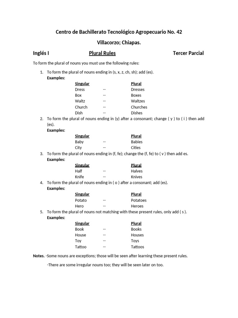 Plural Noun Rules in English | PDF