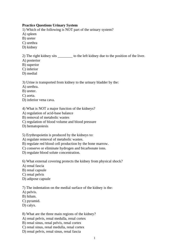 Urinary System Practice Questions | PDF | Kidney | Angiotensin