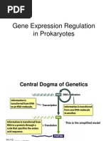 Lecture 7 - Regulation of Gene Expression 05-22-12-1