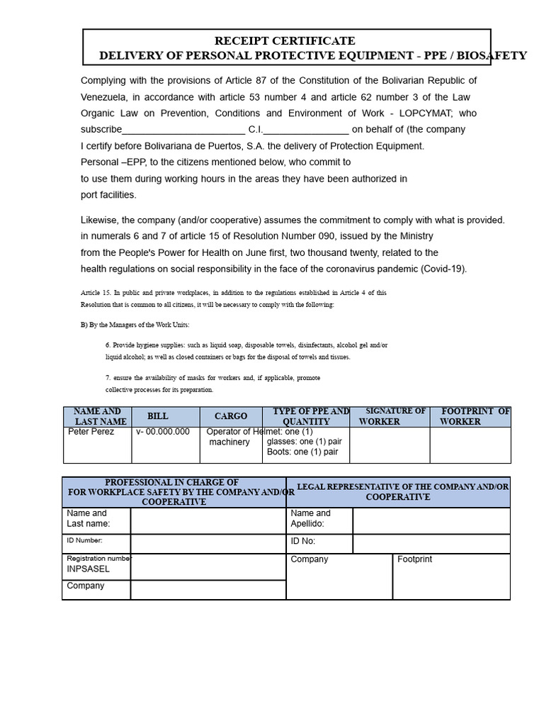 Consolidated delivery format of PPE (1) | PDF | Personal Protective ...