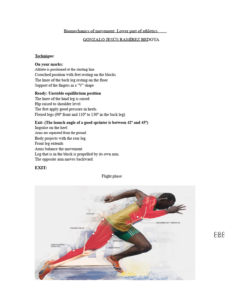 Biomechanics of Movement LOW START | PDF | Running | Anatomical Terms ...