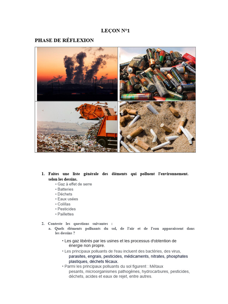 Pollution de l'environnement : causes et impacts | PDF | la pollution ...