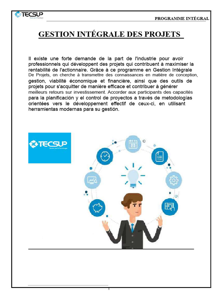 Gestion Intégrale des Projets et Outils | PDF | Gestion de projet ...