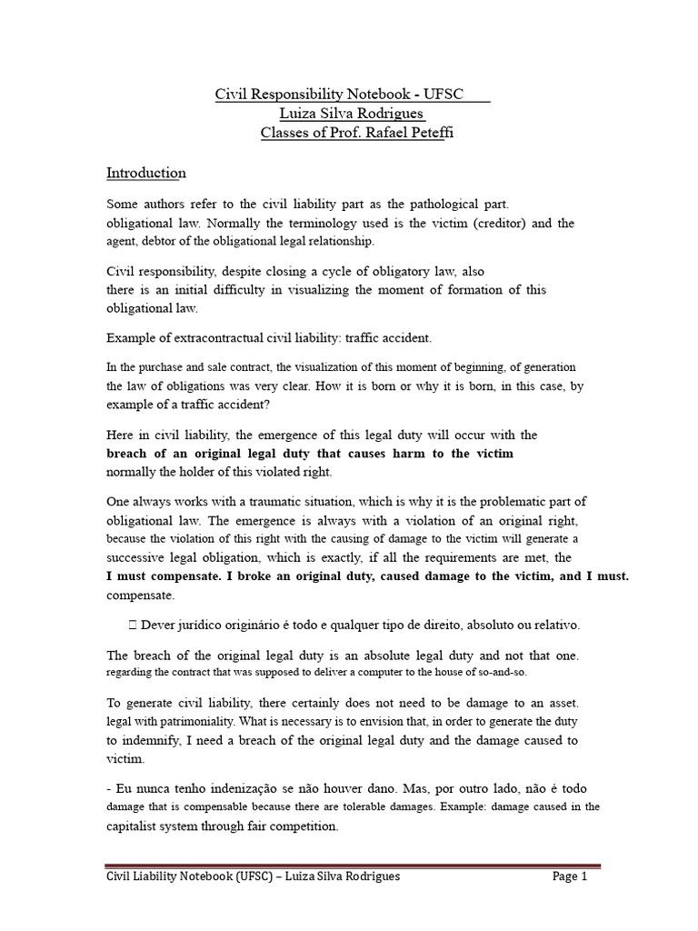 Civil Liability Notebook (UFSC) - Luiza Silva Rodrigues PDF | PDF ...