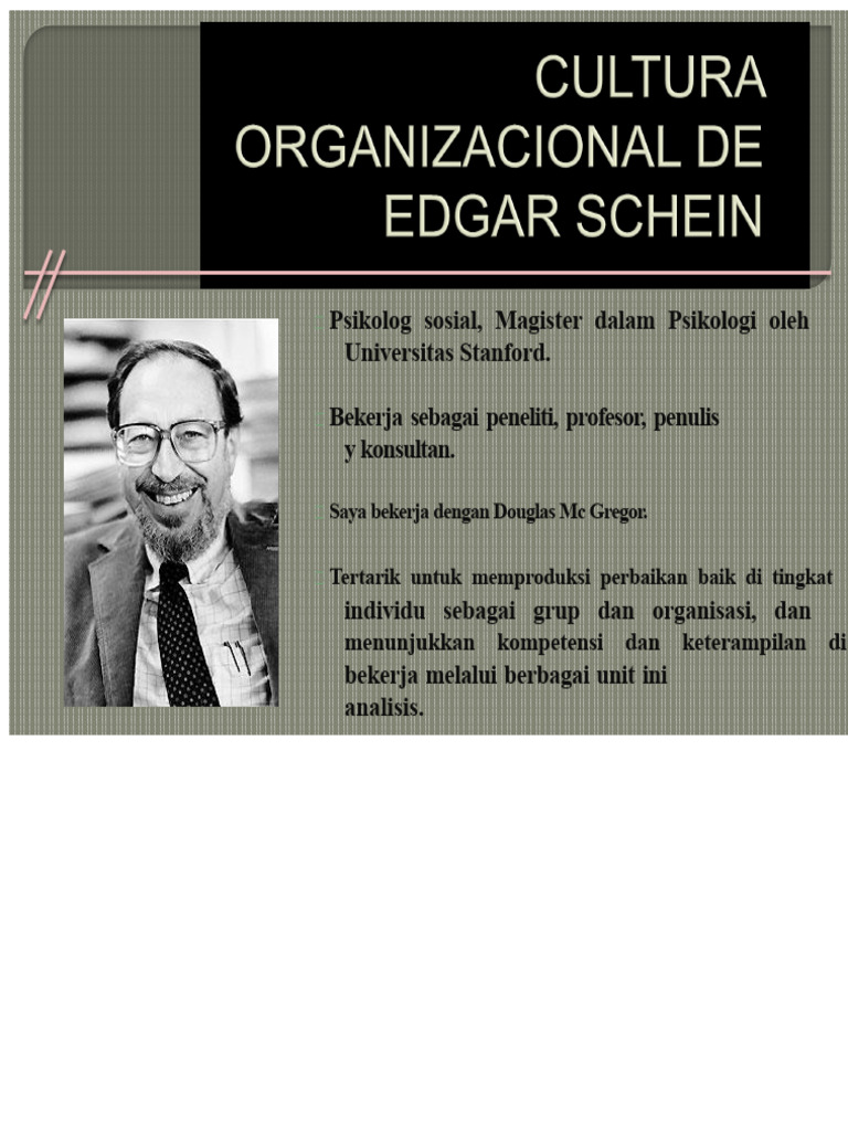 Kontribusi Edgar Schein dalam Manajemen Budaya | PDF