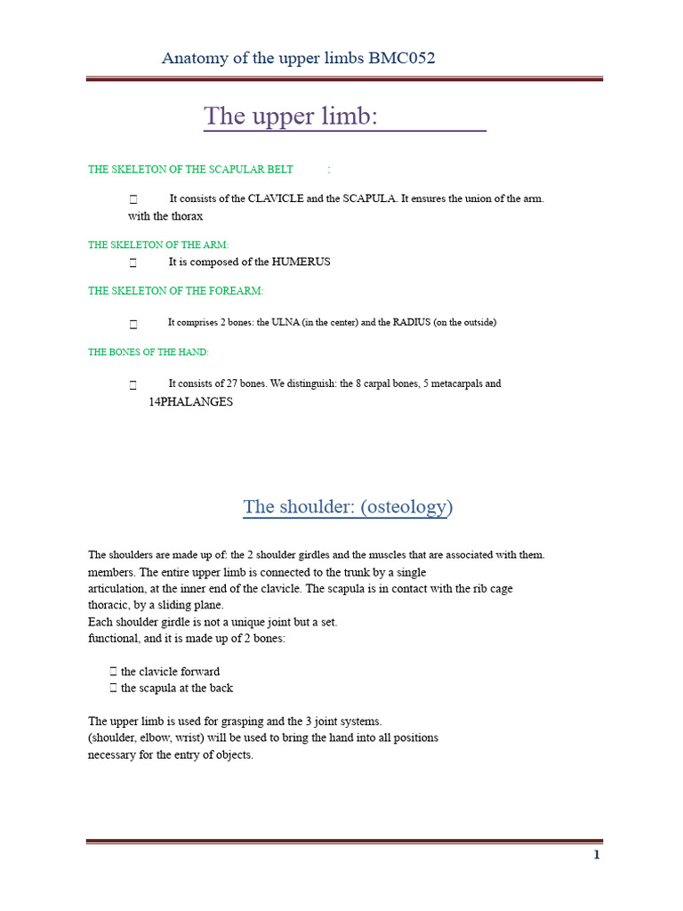 Upper Limb Anatomy Overview | PDF | Anatomical Terms Of Motion | Elbow