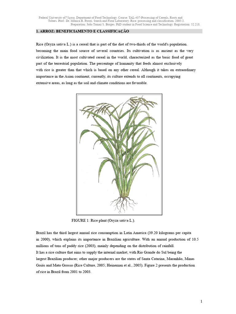 Rice Processing Manual | PDF | Cereals | Rice
