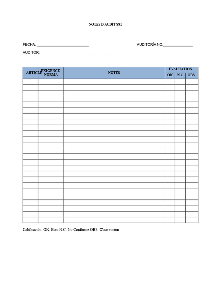 Format Des Notes D'audit | PDF