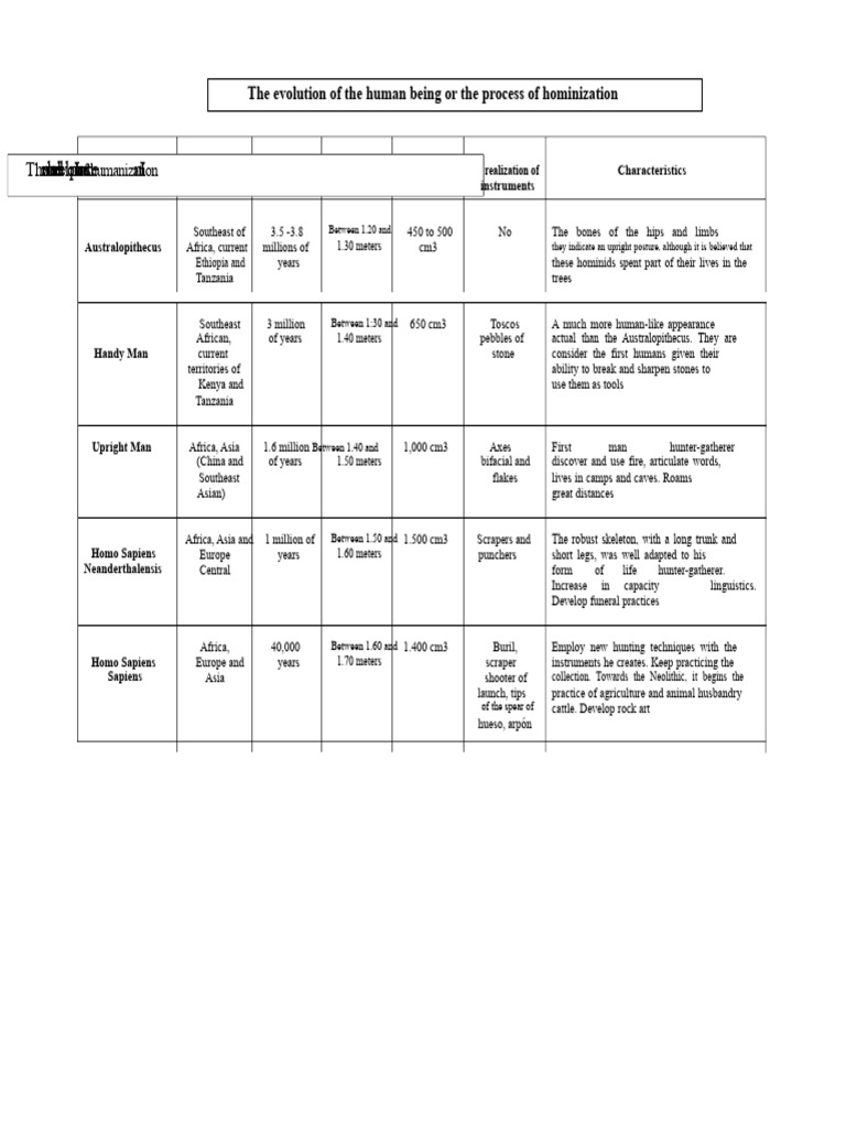 Synoptic Chart Evolution | PDF | Homo | Human Evolution