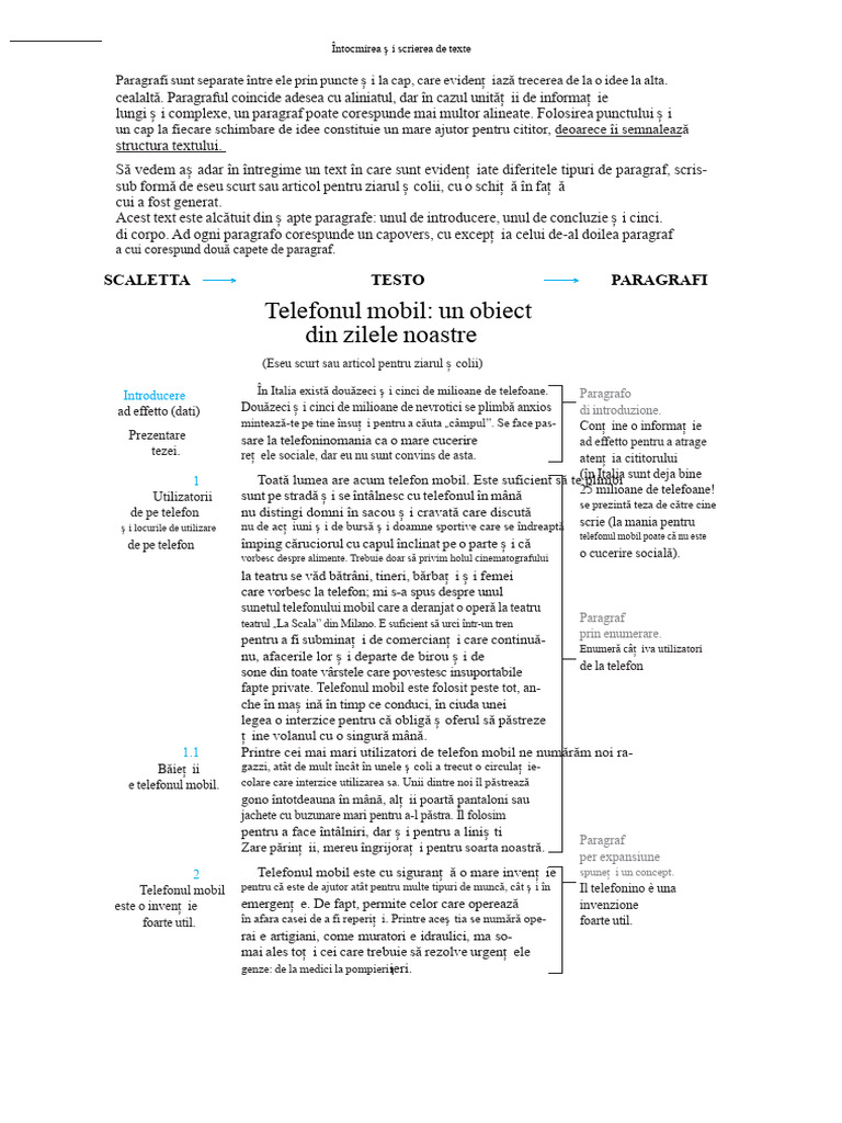 Exemplu de Paragraf | PDF