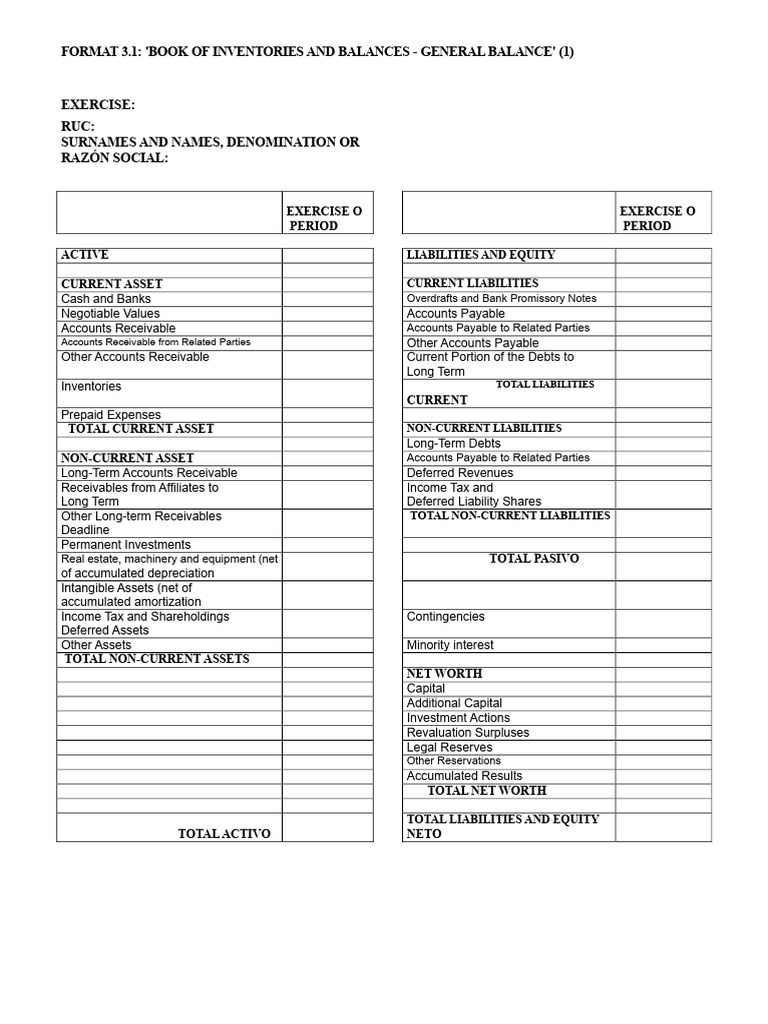 Inventory and Balance Formats | PDF | Equity (Finance) | Financial Services