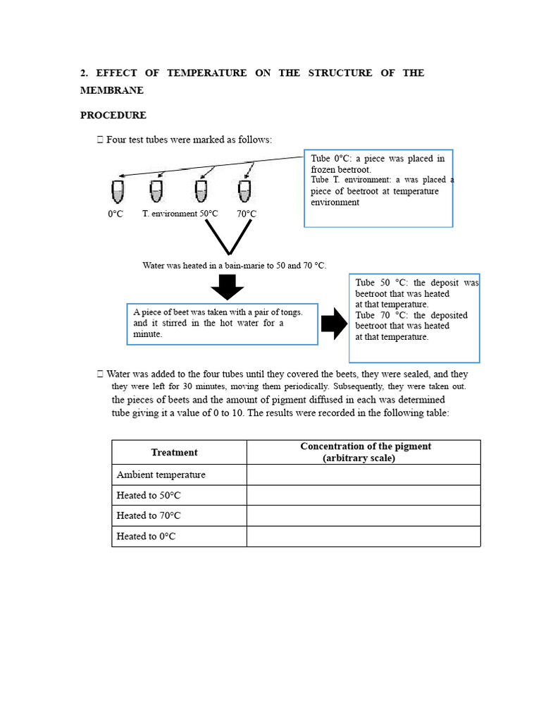 Effect of Temperature On Membrane Structure | PDF | Cell Membrane ...