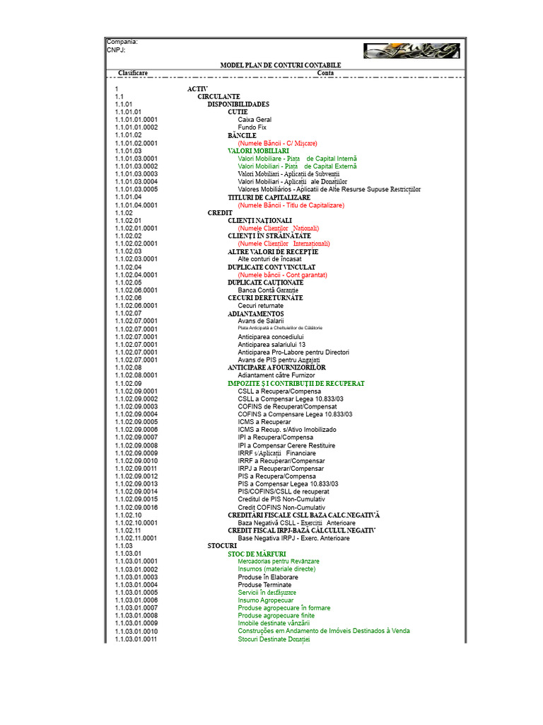 Model de Plan de Conturi | PDF
