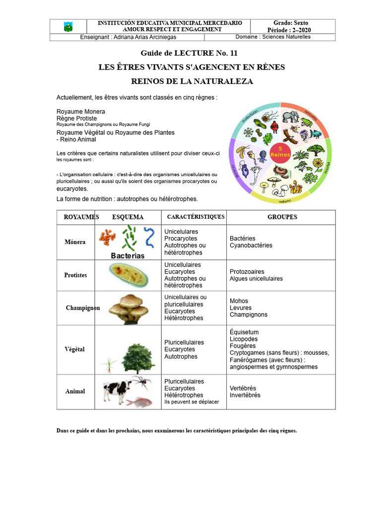 Classification des Règnes Vivants | PDF | Bactérie | Prokaryota
