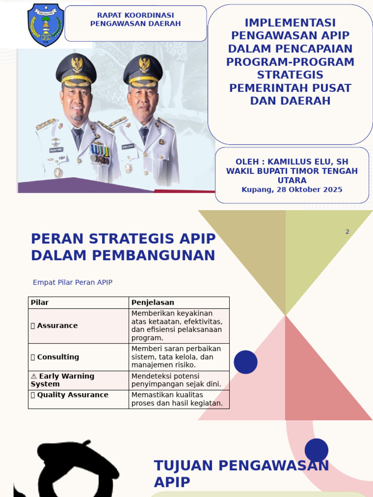 Pengawasan APIP untuk Program Strategis | PDF