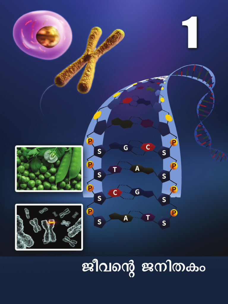 Bio 1 | PDF