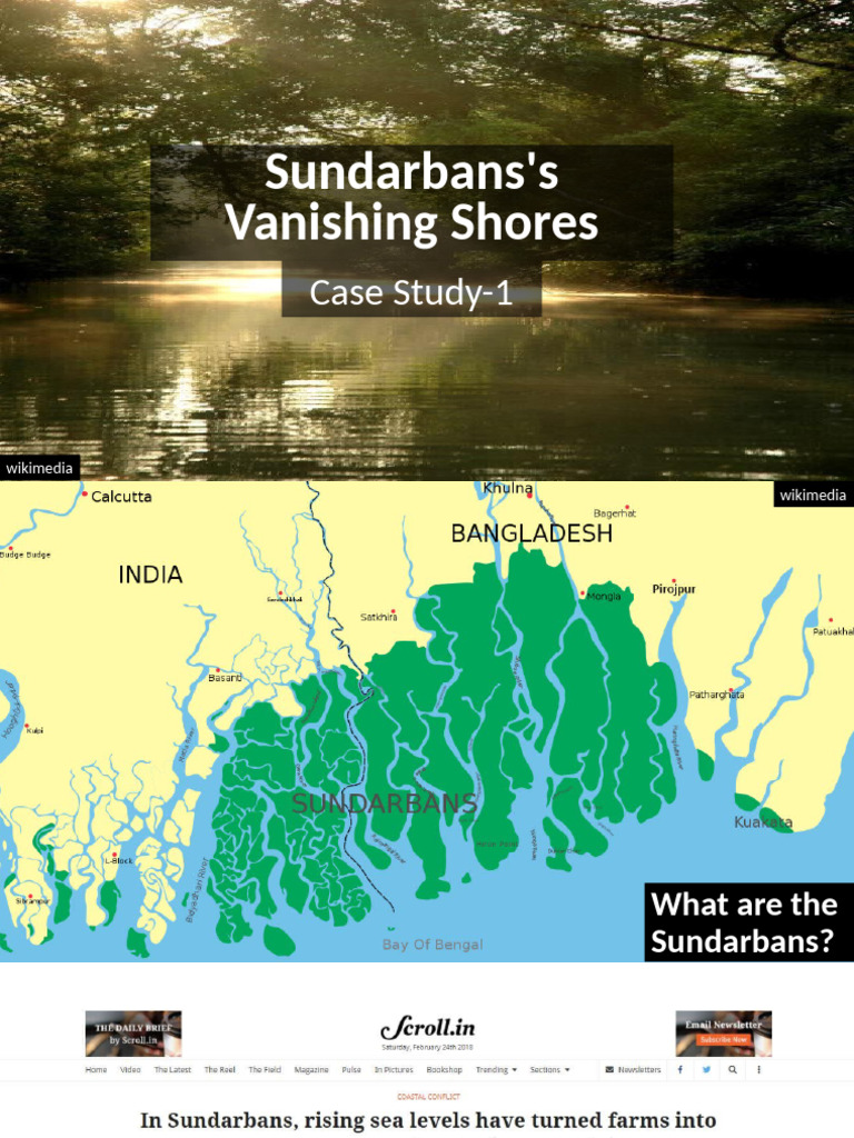 Case Study 1 | PDF