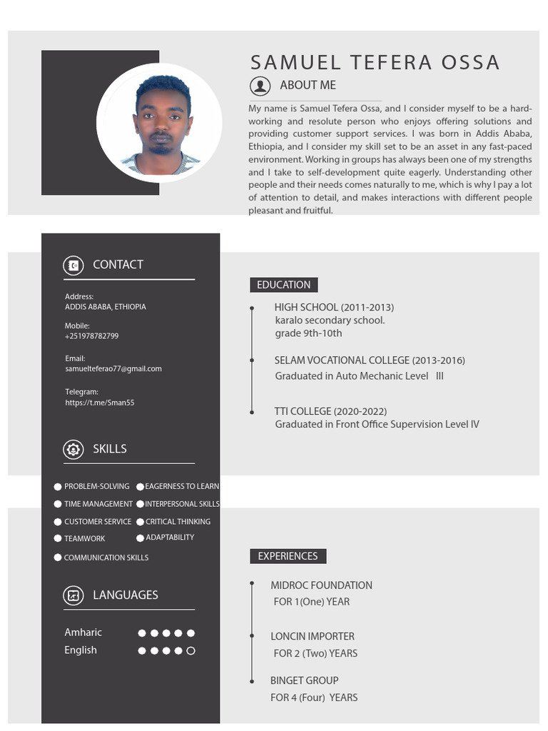Sami CV | PDF