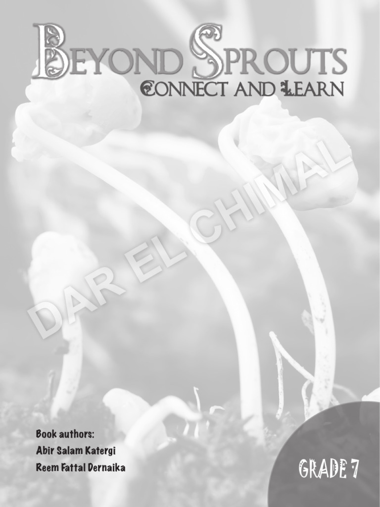 Social Studies Curriculum Overview | PDF | Geography | Learning