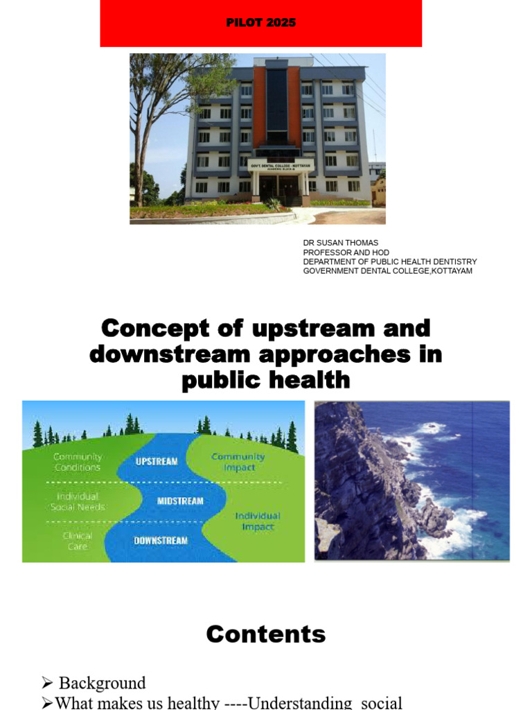 Upstream vs Downstream Health Approaches | PDF | Health Equity ...