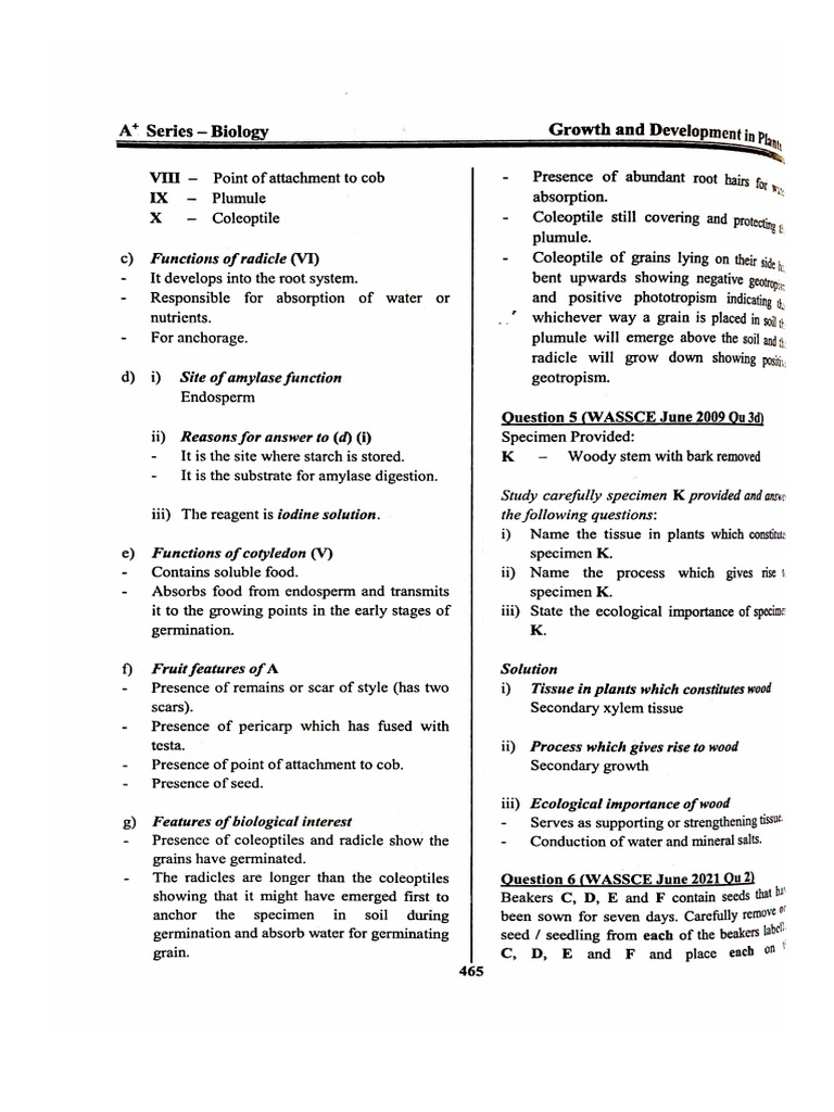 Plant Growth and Germination Insights | PDF | Seed | Germination