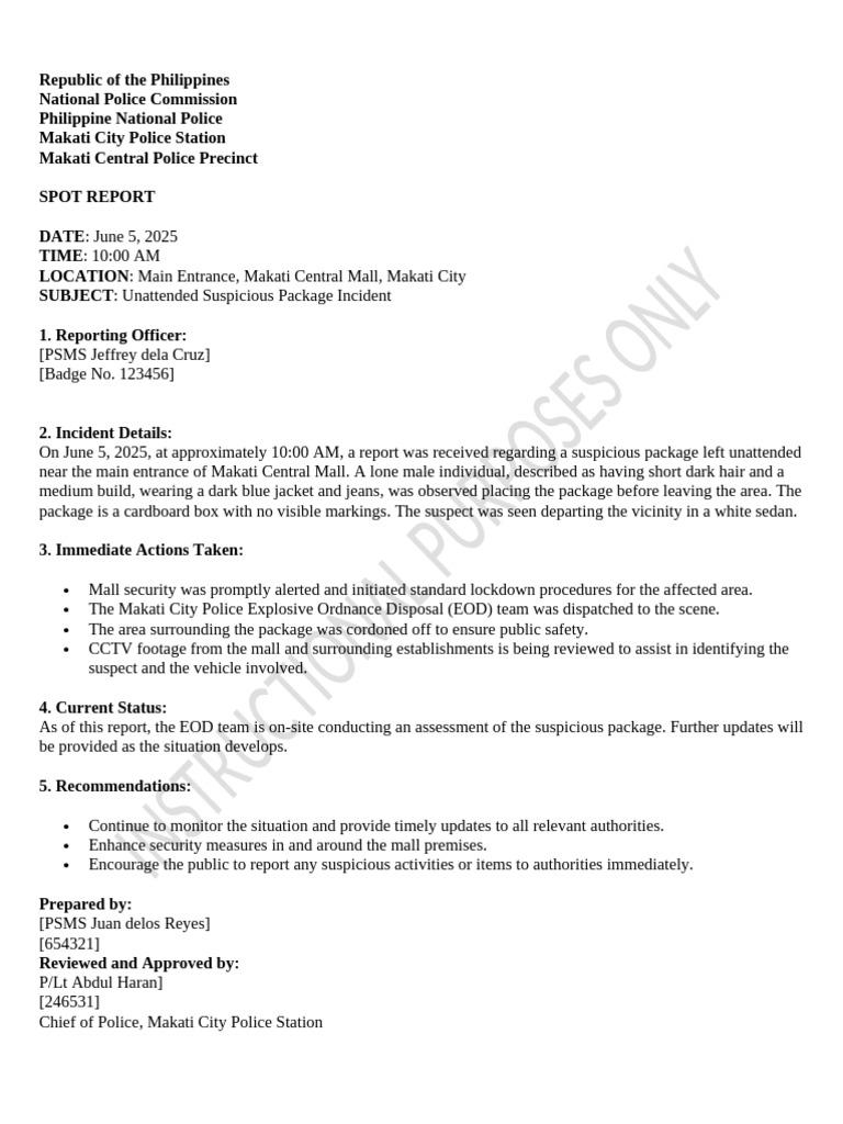 Spot Report Terrorism | PDF