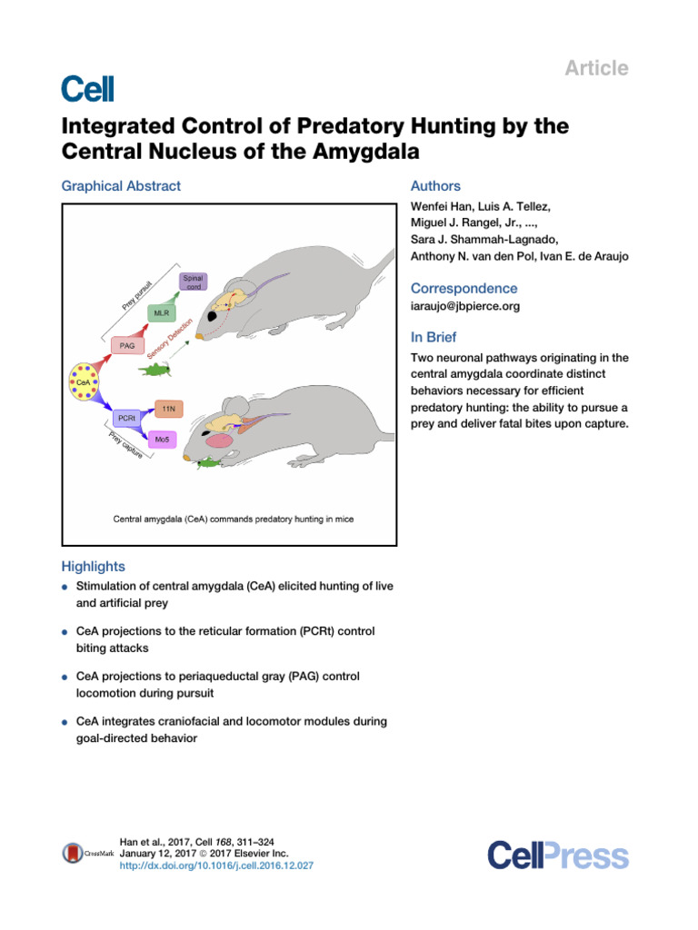 Integrated Control of Predatory Hunting by The Central Nucleus of The ...