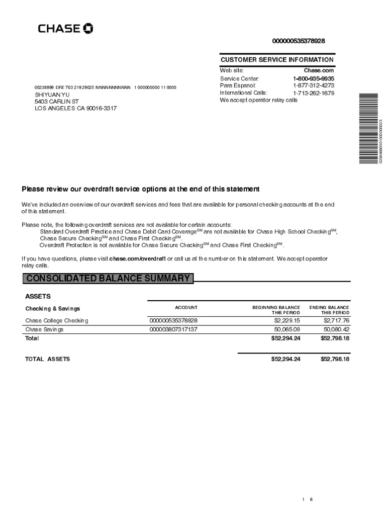 chase-college-checking-statement-summary-pdf-overdraft