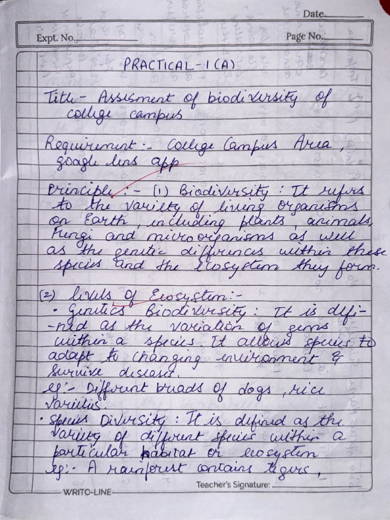 Aec Practical File 3rd Sem | PDF