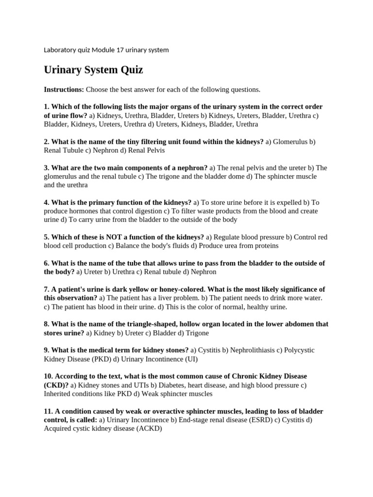 Urinary System Quiz Questions and Answers | PDF | Kidney | Urinary System