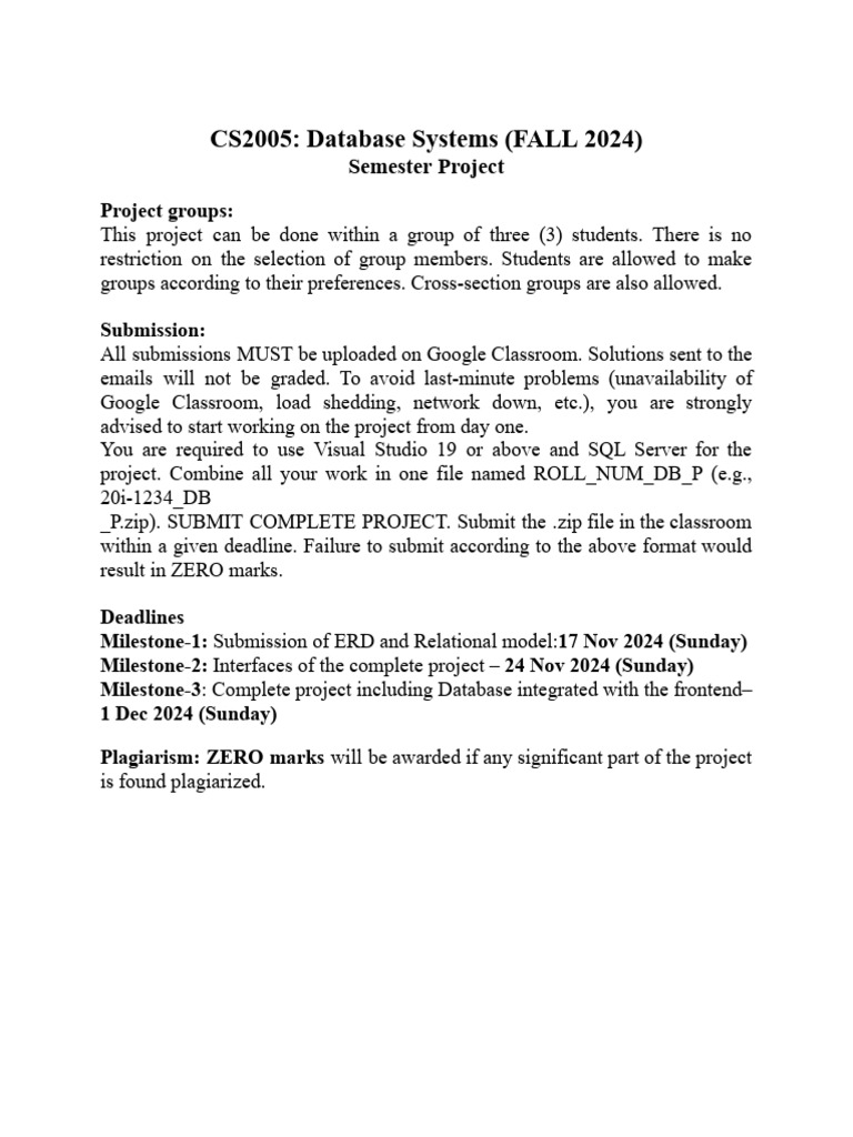 Project Description-FALL2024 | PDF | Databases | Business